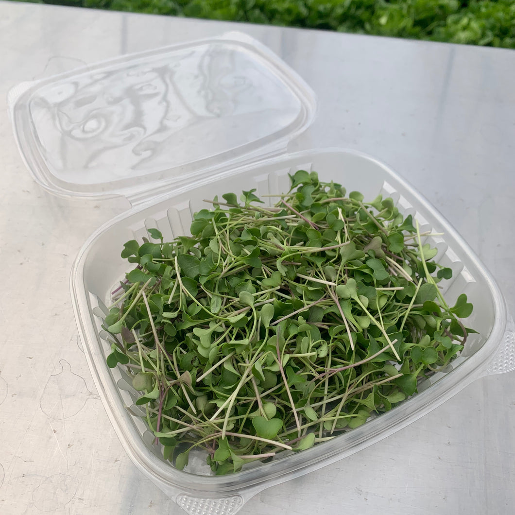 MICROGREEN MIX - 1 CONTAINER